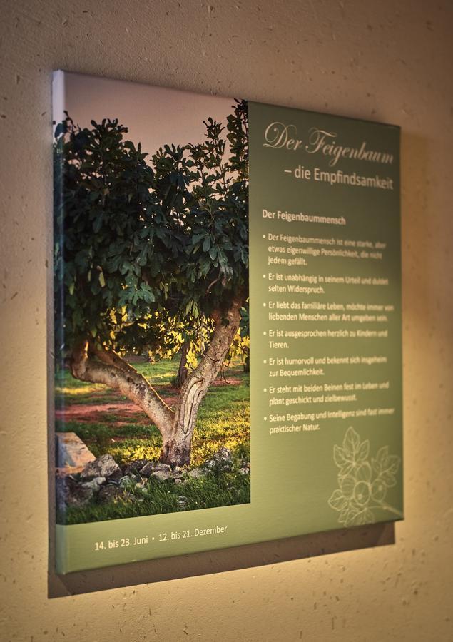 Zedernhof Gesundheits- & Wellnesshotel Stamsried Esterno foto