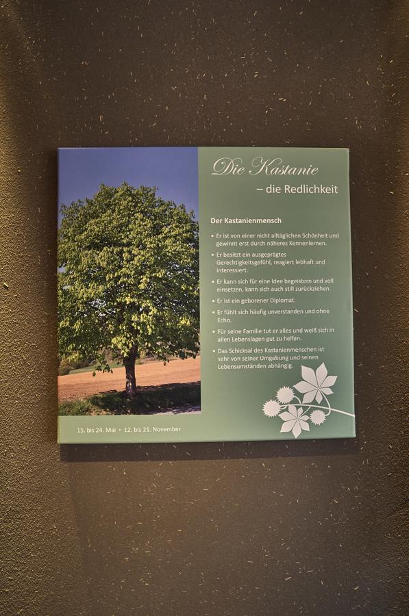 Zedernhof Gesundheits- & Wellnesshotel Stamsried Esterno foto