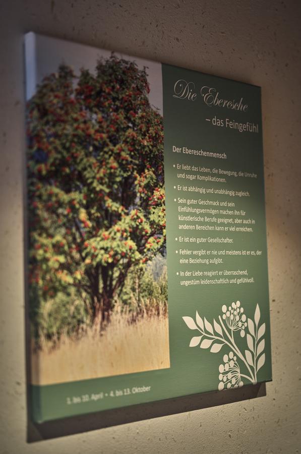 Zedernhof Gesundheits- & Wellnesshotel Stamsried Esterno foto
